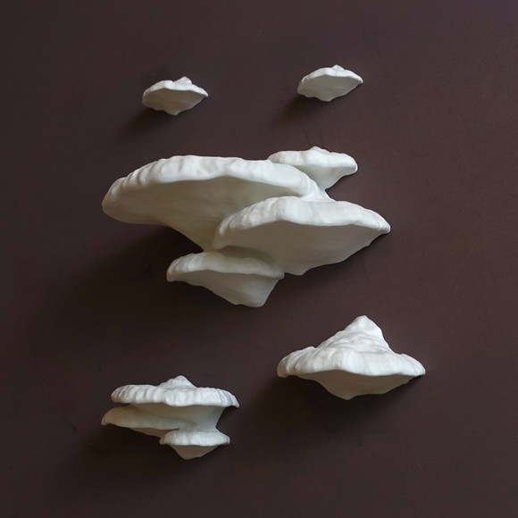 Gazzaladra Unique Wall Shelf “Pinicula” for Party, Living Room, Bedroom - Picture 6 of 7